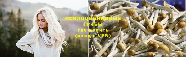 соль ск Коряжма