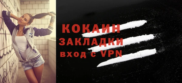 индика Костерёво