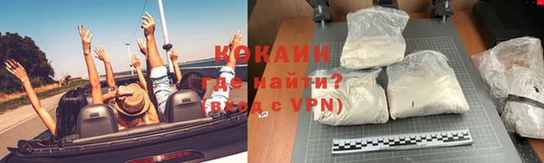 индика Костерёво