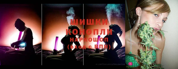 индика Костерёво