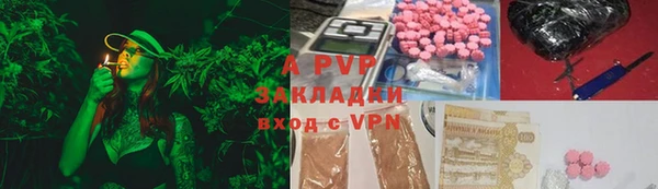 индика Костерёво