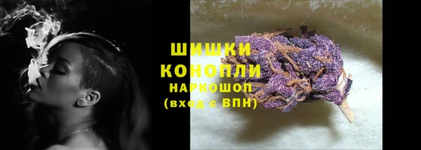 индика Костерёво