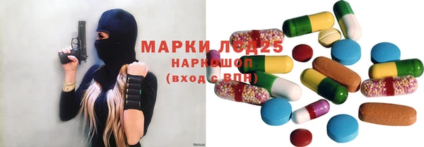 индика Костерёво