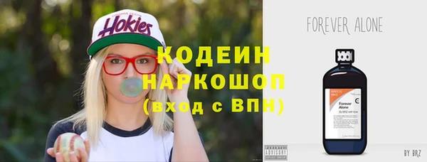 индика Костерёво