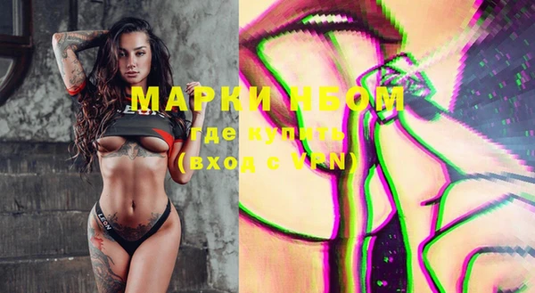 индика Костерёво