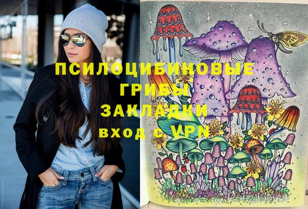 соль ск Коряжма