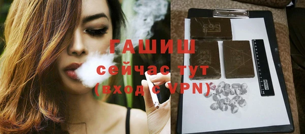 индика Костерёво